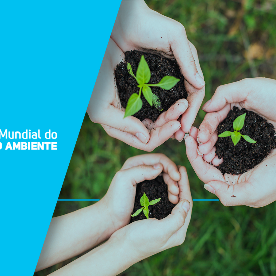 Importancia De Cuidar Do Meio Ambiente