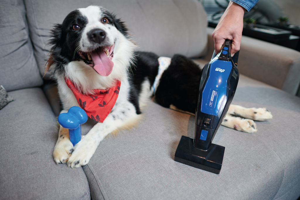 pet-cleaner-mob-argos-cão-de-rodinhas