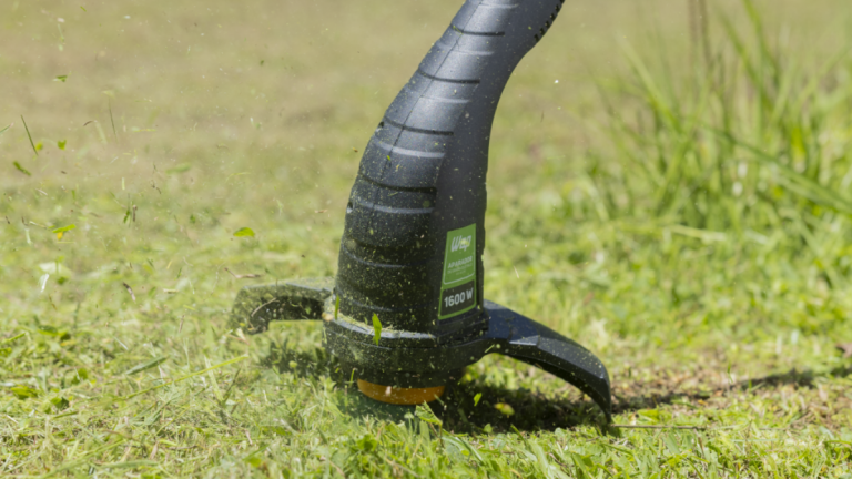 Áreas externas: Como manter cuidados simples