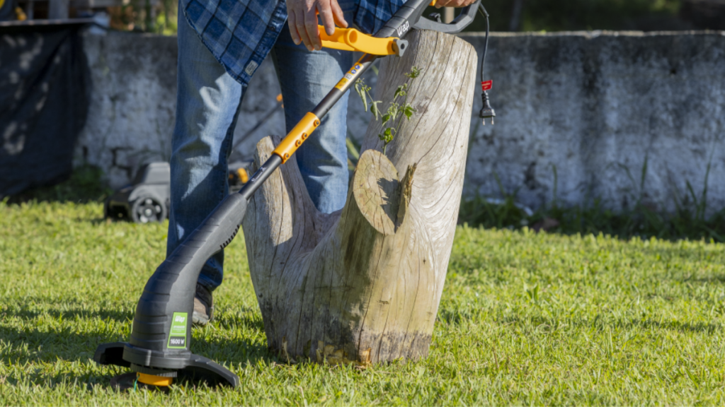 áreas externas grama e solo