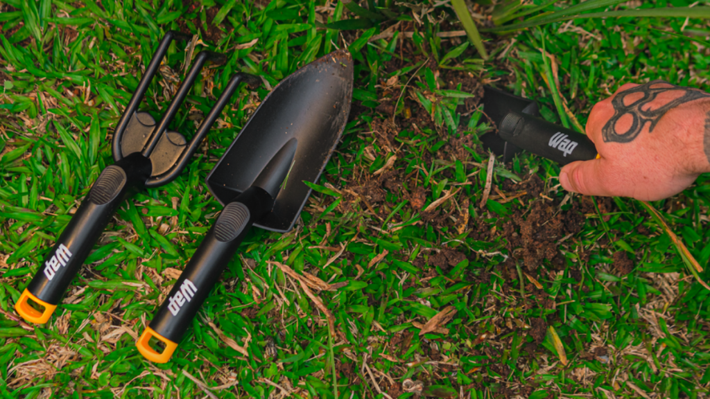 flores e plantas áreas externas